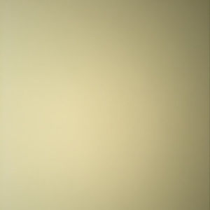 Meet your Posher, Blake